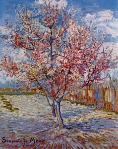 Peach Trees in Blossom