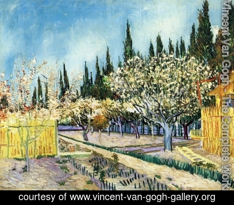 Vincent Van Gogh - Orchard Surrounded by Cypresses