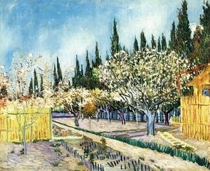 Vincent Van Gogh - Orchard Surrounded by Cypresses
