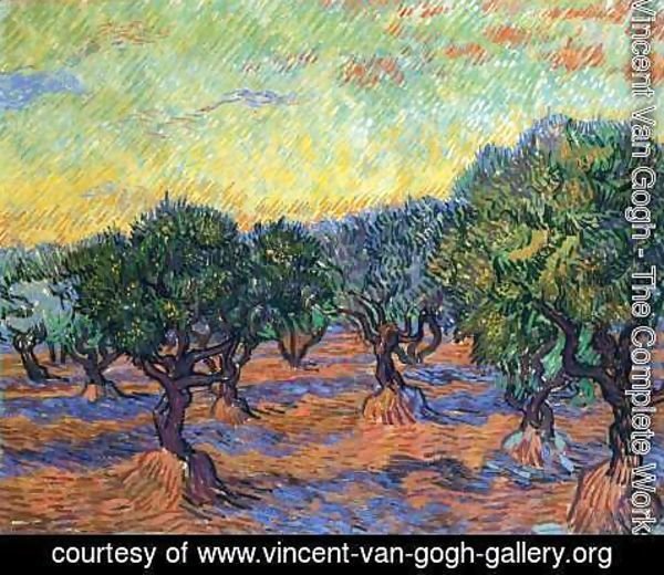 Vincent Van Gogh - Olive Grove I