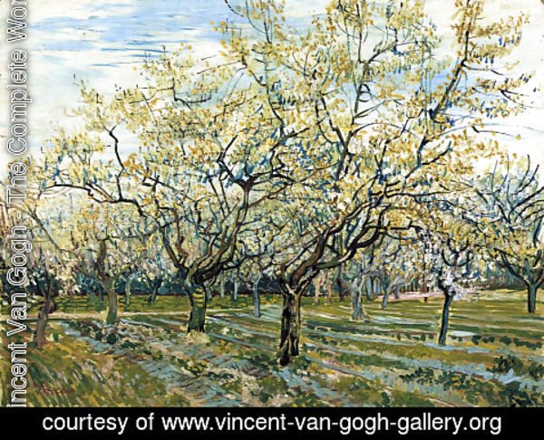 Vincent Van Gogh - Orchard with Blossoming Plum Trees