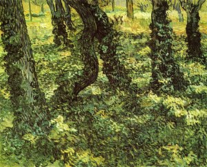 Vincent Van Gogh - Trunks of Trees with Ivy