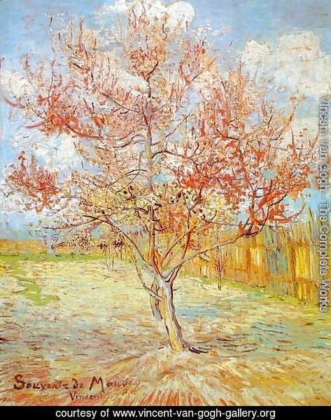 Peach Tree in Blossom at Arles