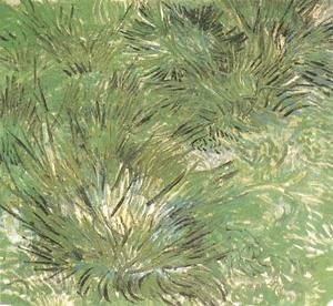 Vincent Van Gogh - Touffes d'herbe 1889