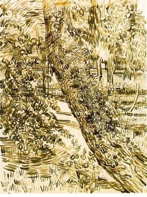 Vincent Van Gogh - trees-ivy-asylum