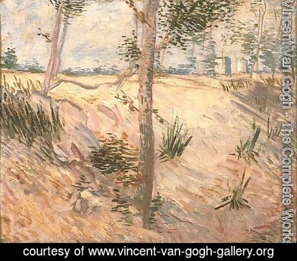 Vincent Van Gogh - Arbre dans un champ 1887