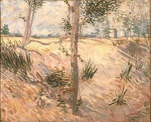 Vincent Van Gogh - Arbre dans un champ 1887