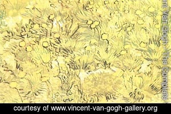 Vincent Van Gogh - Champ de fleurs jaunes 1889
