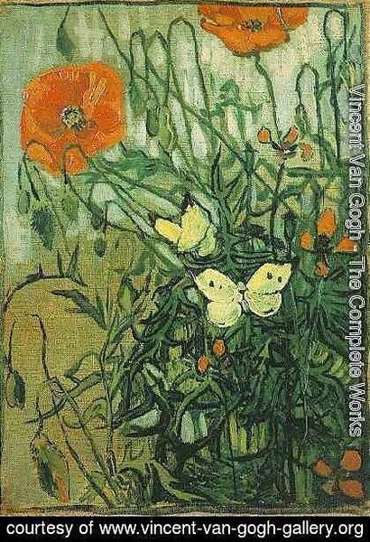 Vincent Van Gogh - Coquelicots et papillons 1890