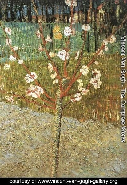 Vincent Van Gogh - Flowering Almond Tree