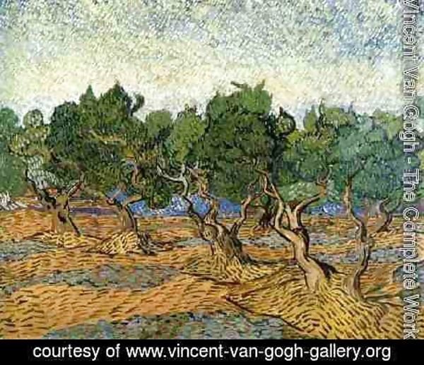 Vincent Van Gogh - Les oliviers 1 1889