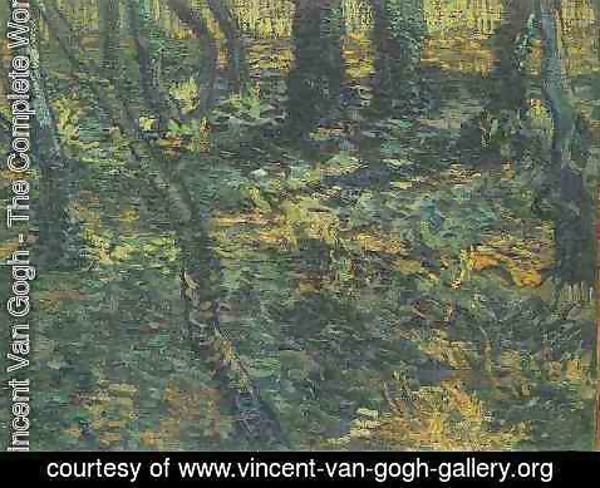 Vincent Van Gogh - Lierre en sous-bois 1889