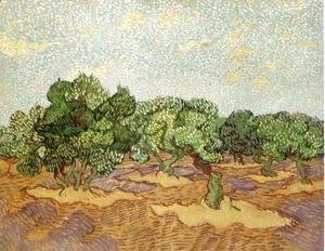 Vincent Van Gogh - Olive Grove 3