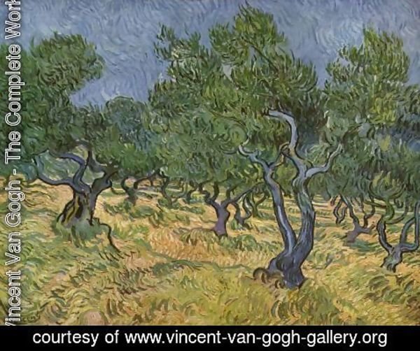 Vincent Van Gogh - Plantation d'oliviers 1 1889