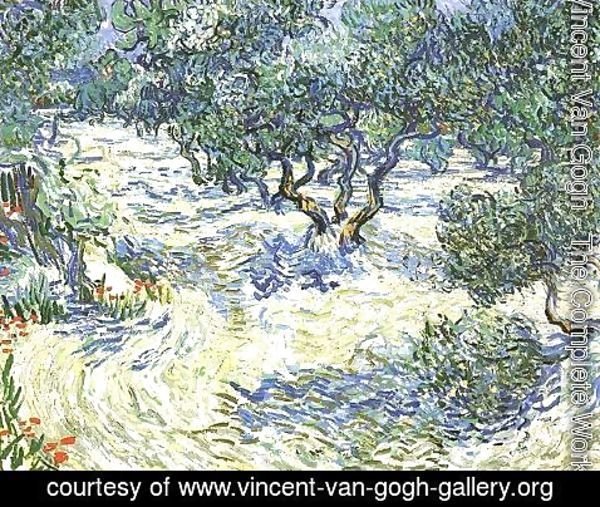 Vincent Van Gogh - Plantation d'oliviers 2 1889