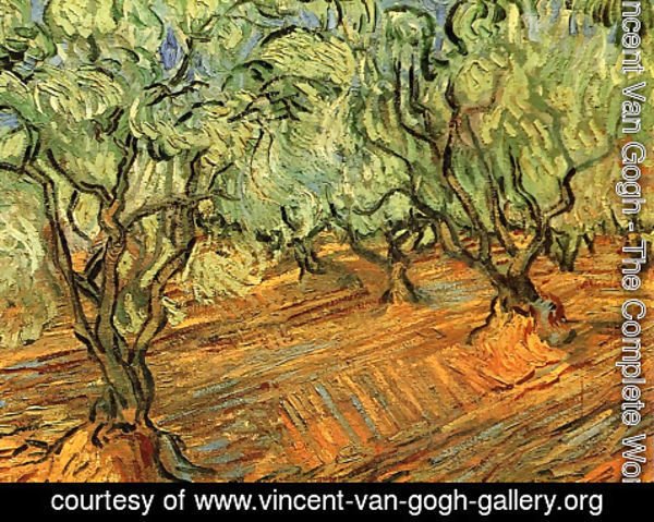 Vincent Van Gogh - Olive Grove Bright Blue Sky 1889