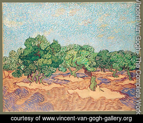 Vincent Van Gogh - Olive Orchard 1889