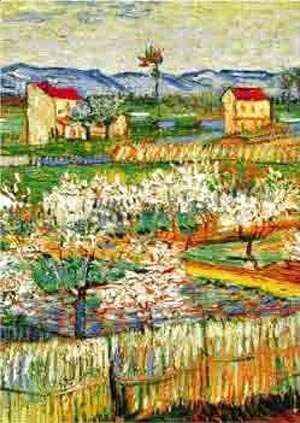 Vincent Van Gogh - Peach Trees In Bloom 1888