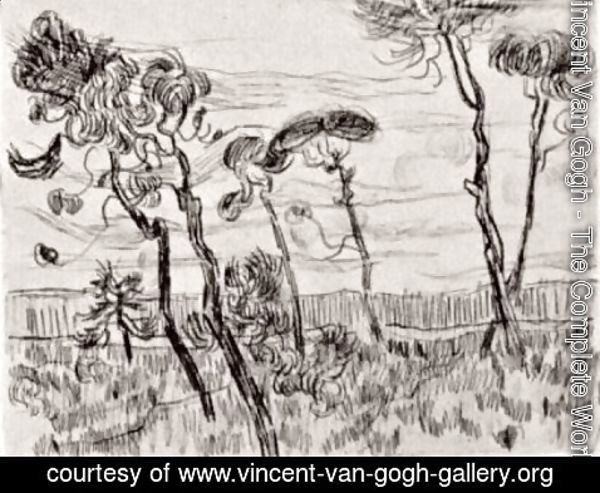 Vincent Van Gogh - Six pines near the enclosure wall