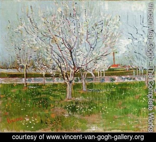Vincent Van Gogh - Flowering Orchard