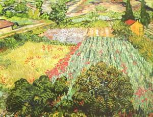 Vincent Van Gogh - The Poppy Field
