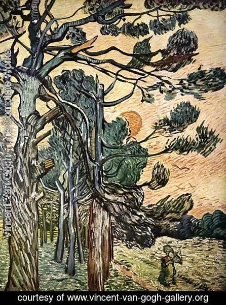 Vincent Van Gogh - Fir-woods at Sunset