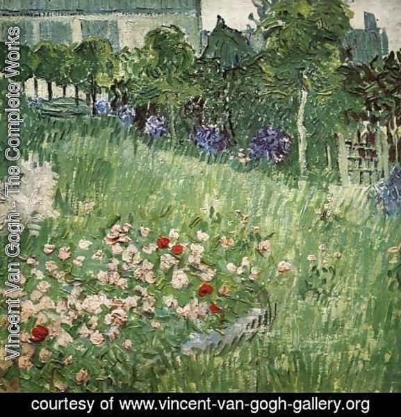 Vincent Van Gogh - Daubigny's Garden at Auvers