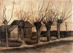 Small House on a Road with Pollar Willows