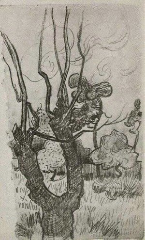 A Bare Treetop in the Garden of the Asylum
