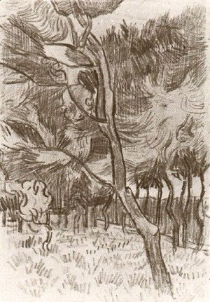 Vincent Van Gogh - Pine Trees in the Garden of the Asylum