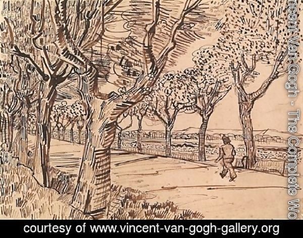 Vincent Van Gogh - The Road to Tarascon