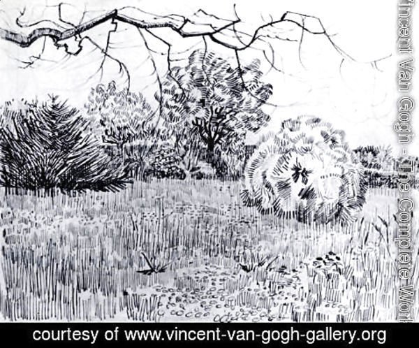 Vincent Van Gogh - Park at Arles