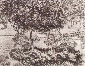 Vincent Van Gogh - Trees and Shrubs