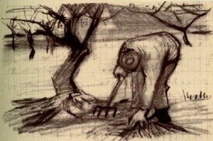 Vincent Van Gogh - Gardener near a Gnarled Apple Tree