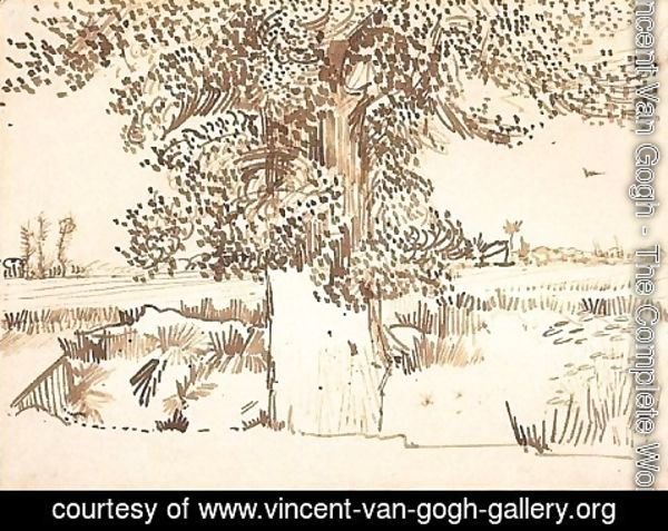 Vincent Van Gogh - Landscape with a Tree in the Foreground
