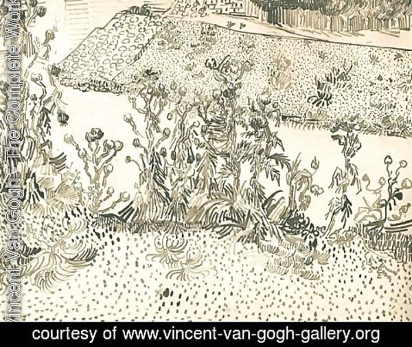 Vincent Van Gogh - Thistles Along the Roadside