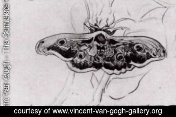 Vincent Van Gogh - Death's Head Moth