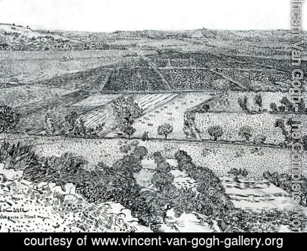 Vincent Van Gogh - La Crau Seen from Montmajour