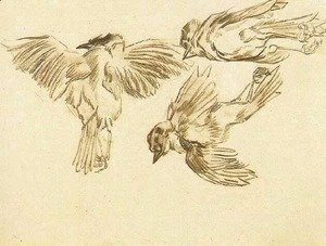 Vincent Van Gogh - Studies of a Dead Sparrow