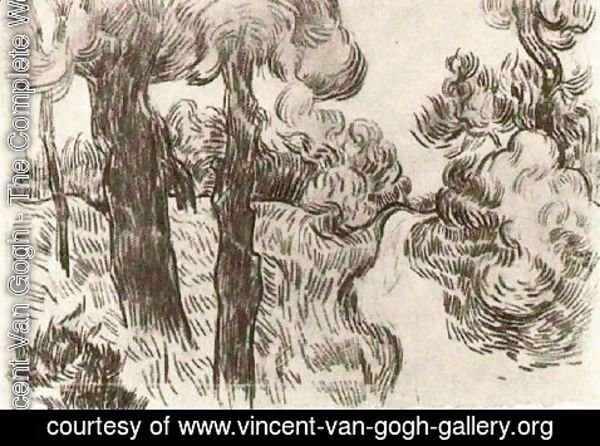 Vincent Van Gogh - Path between Pine Trees
