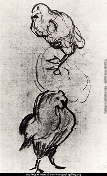 Sketches of a Hen and a Cock