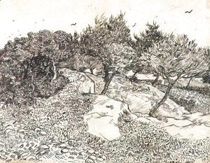 Vincent Van Gogh - Olive Trees 2