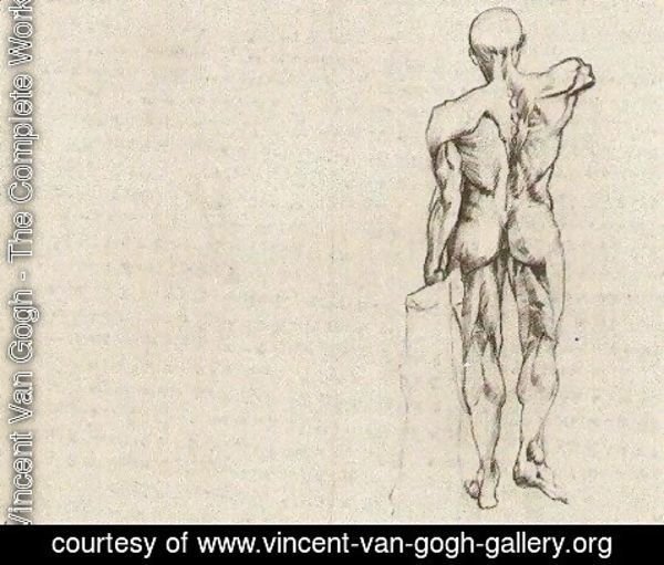 Vincent Van Gogh - L'Ecorche