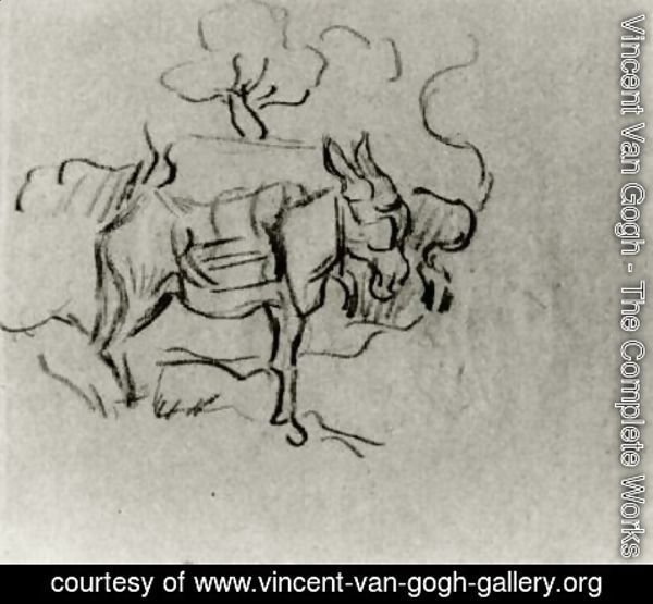 Vincent Van Gogh - Sketch of a Donkey