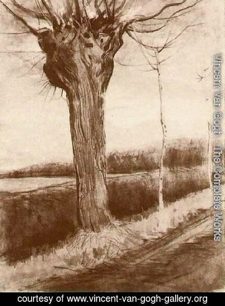 Vincent Van Gogh - Pollard Willow 3