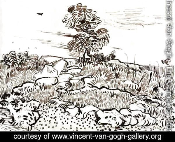 Vincent Van Gogh - Rocky Ground at Montmajour