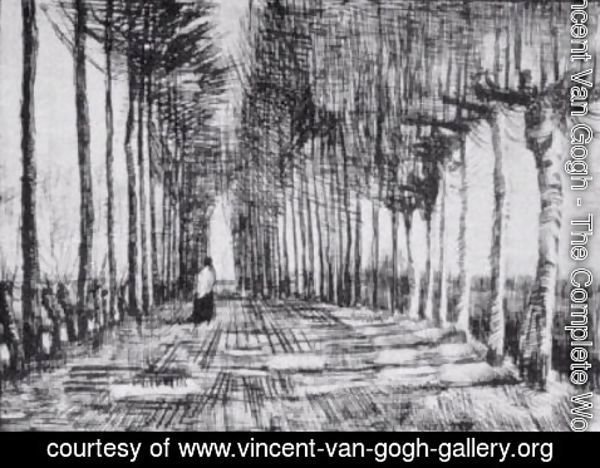 Vincent Van Gogh - Lane with Trees and One Figure