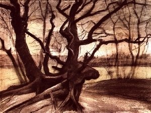 Vincent Van Gogh - Study of a Tree