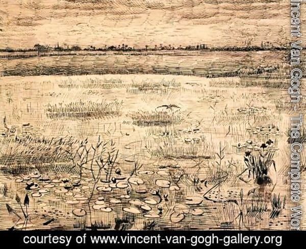 Vincent Van Gogh - Marsh with Water Lillies