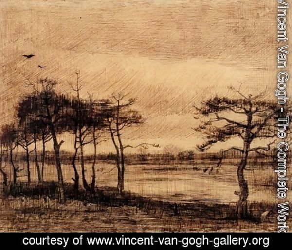 Vincent Van Gogh - Pine Trees in the Fen